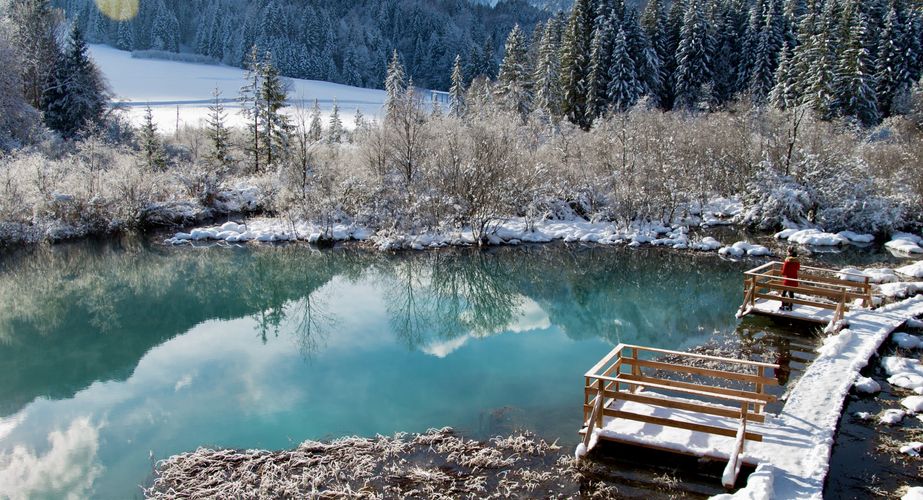 Excursie Zelenci natuurreservaat Excursie Zelenci natuurreservaat