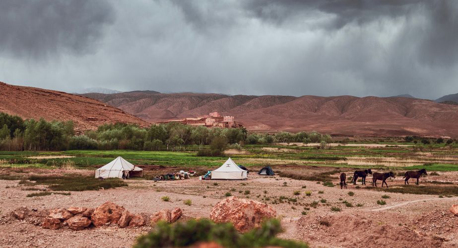 Kamperen in de natuur Kamperen in de natuur