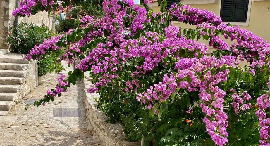 Kroatië eilandhoppen