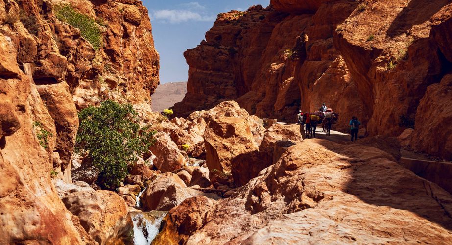 Marokko groepsreizen Marokko groepsreizen