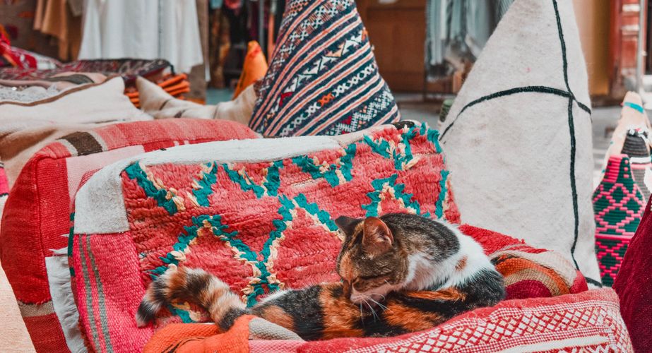 Marokko groepsreizen met leeftijdsgenoten Marokko groepsreizen met leeftijdsgenoten