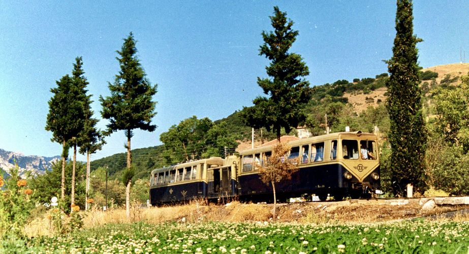 Odontotos trein Odontotos trein