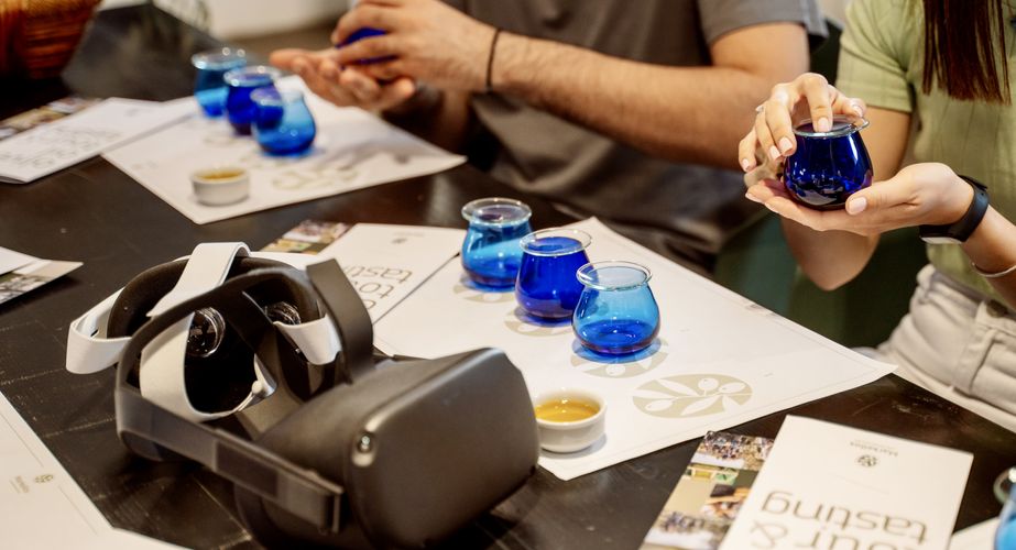 Olive oil farm Olive oil farm