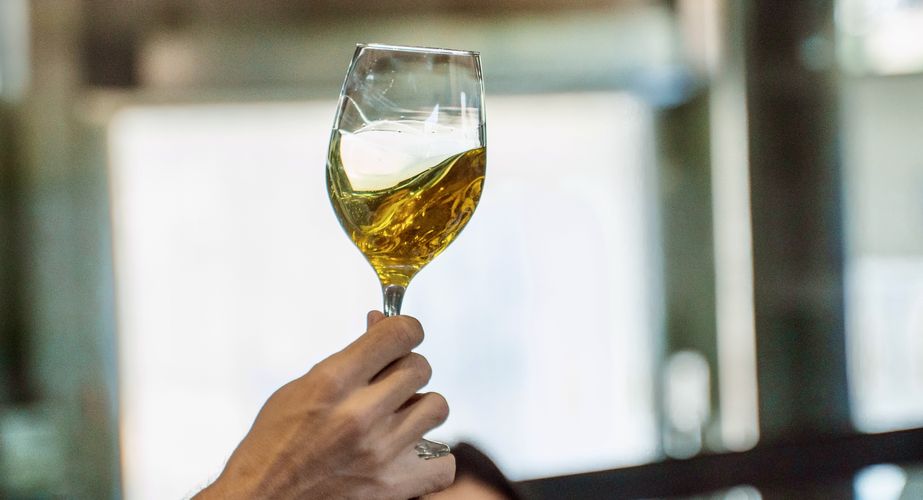 Olive oil farm Olive oil farm