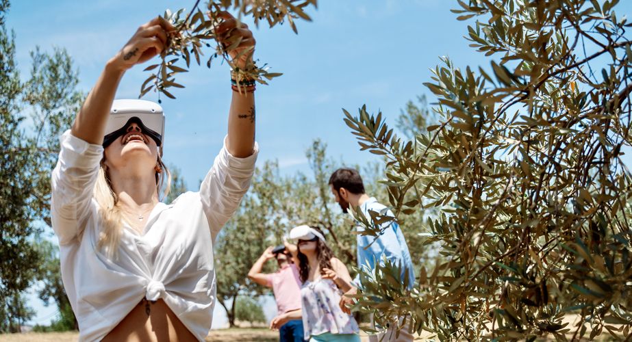 Olive oil farm Olive oil farm