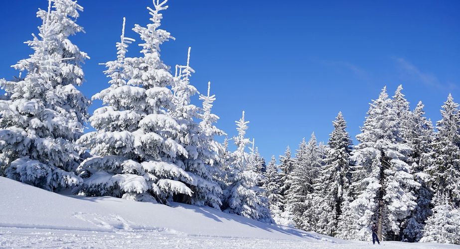 Ski en fun groepsreizen Slovenië Italië Ski en fun groepsreizen Slovenië Italië