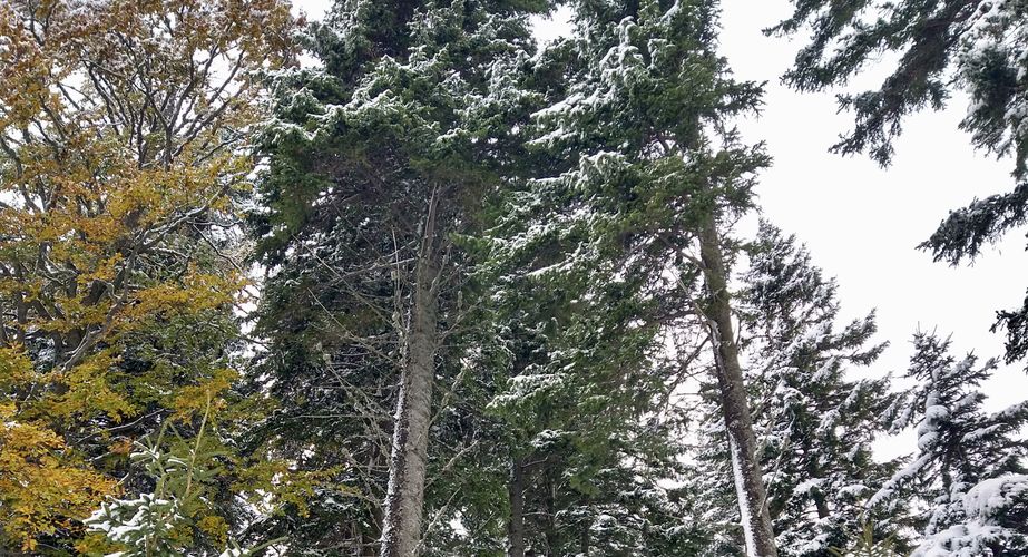 Ski en fun groepsreizen Slovenië Italië Ski en fun groepsreizen Slovenië Italië