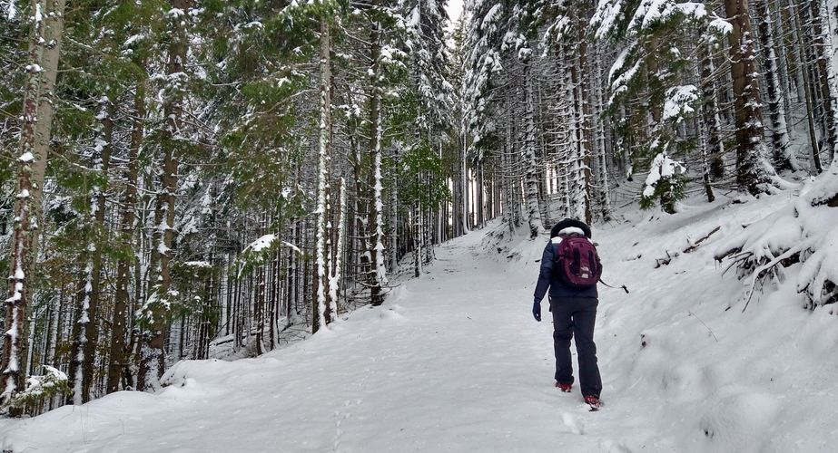 Ski en fun groepsreizen Slovenië Italië Ski en fun groepsreizen Slovenië Italië