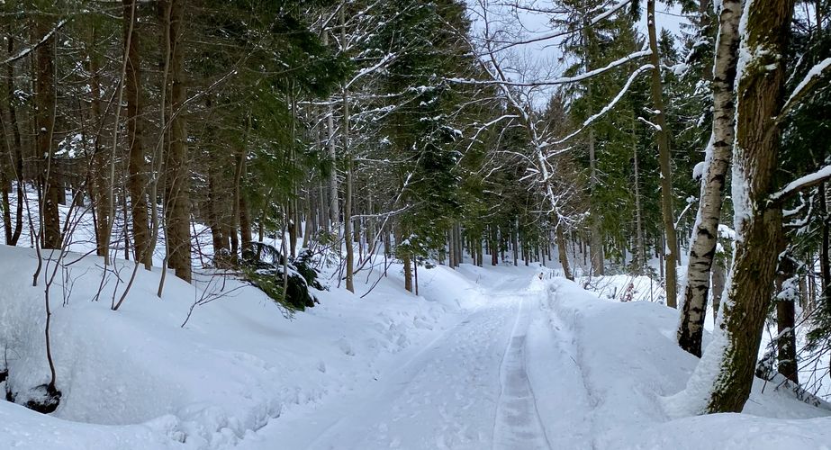 Ski en fun groepsreizen Slovenië Italië Ski en fun groepsreizen Slovenië Italië
