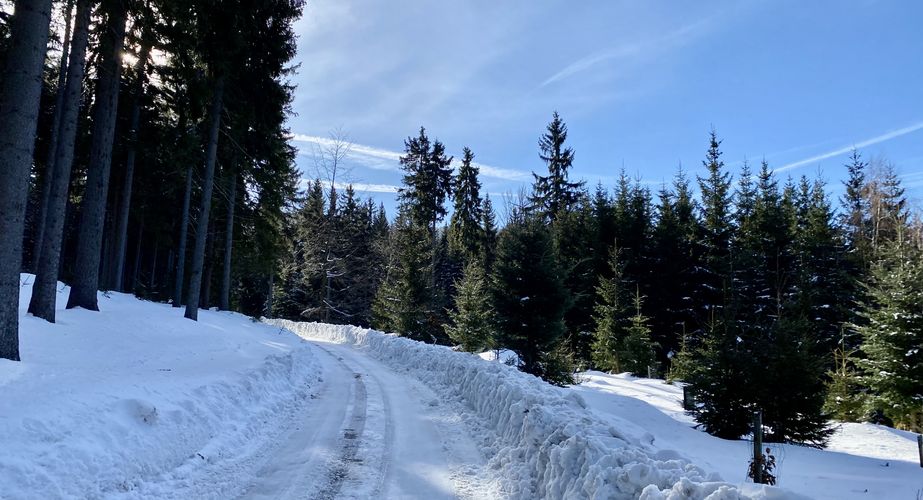 Ski en fun groepsreizen Slovenië Italië Ski en fun groepsreizen Slovenië Italië