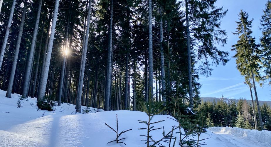 Ski en fun groepsreizen Slovenië Italië Ski en fun groepsreizen Slovenië Italië