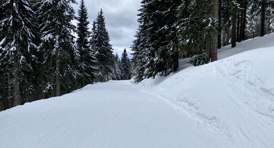 Ski en fun groepsreizen Slovenië Italië Ski en fun groepsreizen Slovenië Italië