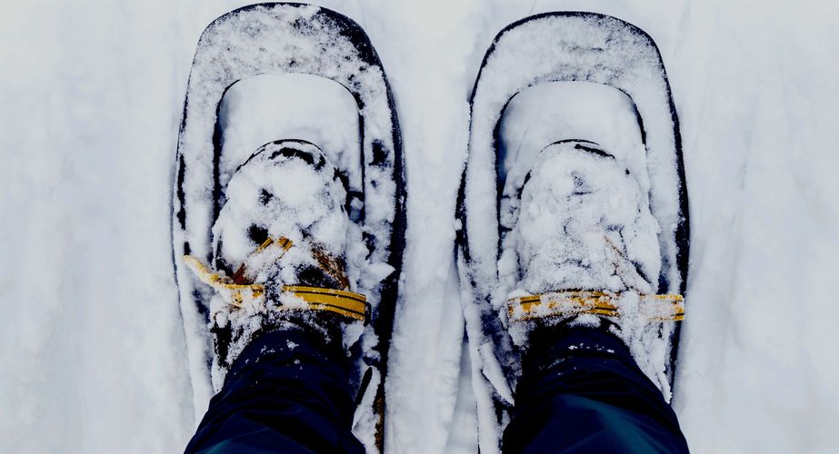 Sneeuwschoenwandelen Sneeuwschoenwandelen