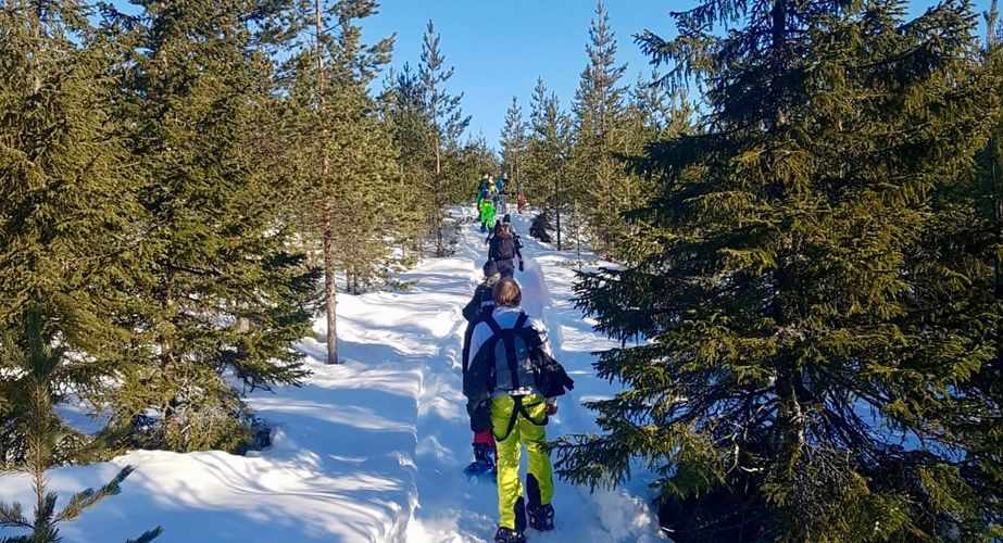 Sneeuwschoenwandelen