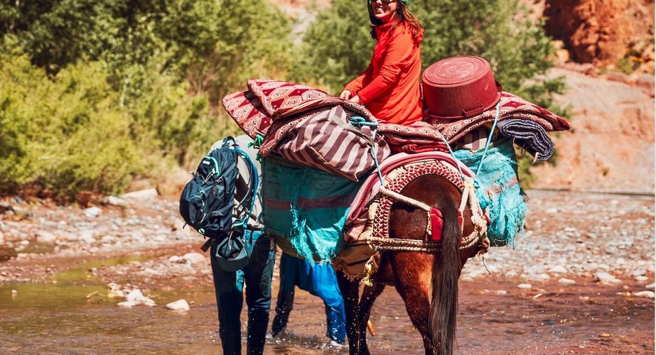 Trektochten met muilezels Trektochten met muilezels
