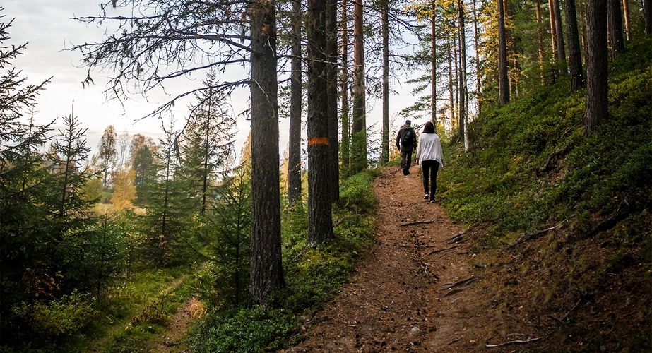 Wandelen Zweedse natuur