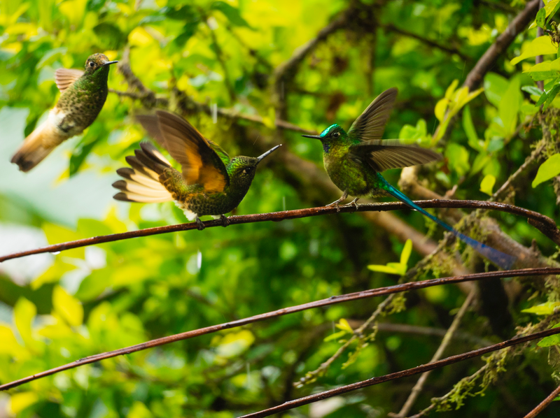 Machalilla National Park