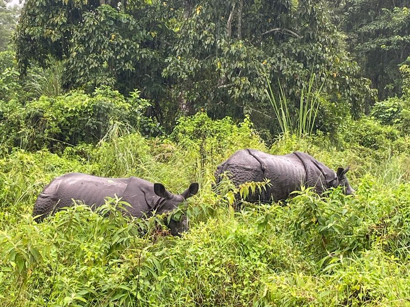 Groepsreis Nepal wildlife Chitwan