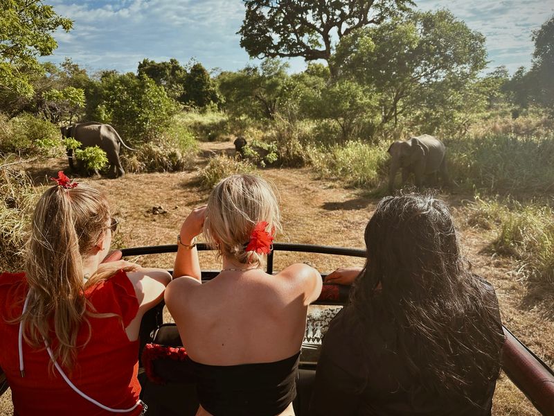 wildlife safari Yala National Park Sri Lanka groepsreis Simi