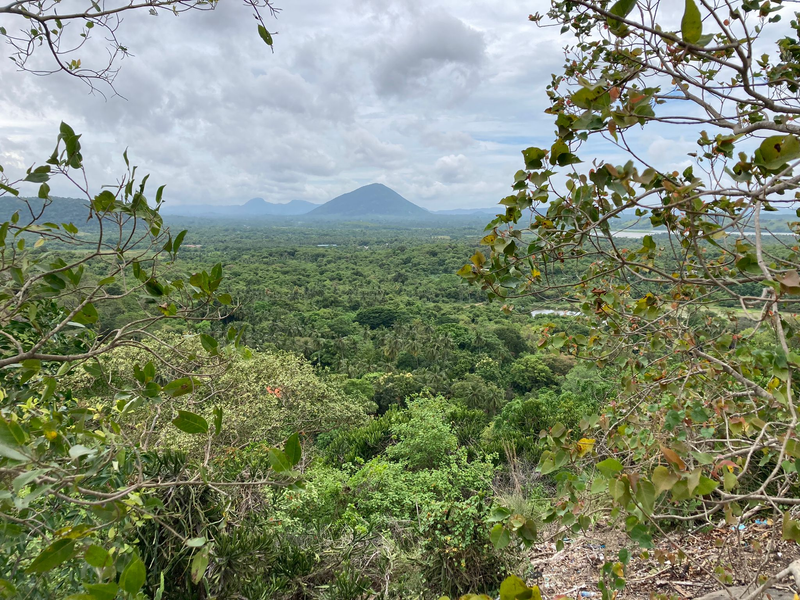 Natuur Sri Lanka groepsreis