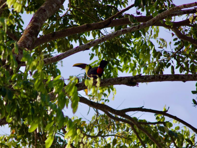 Costa Rica groepsreis