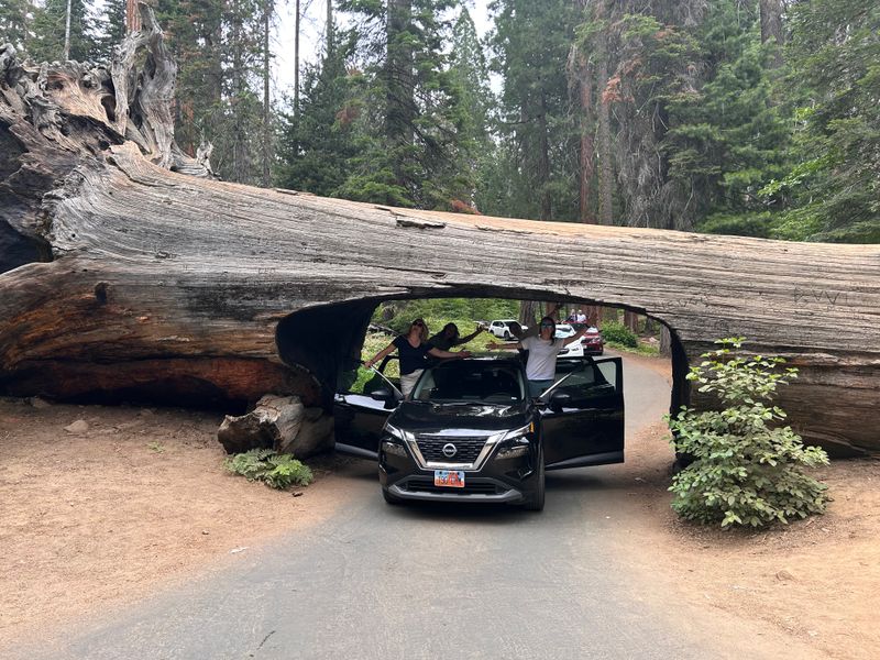 sequoia np