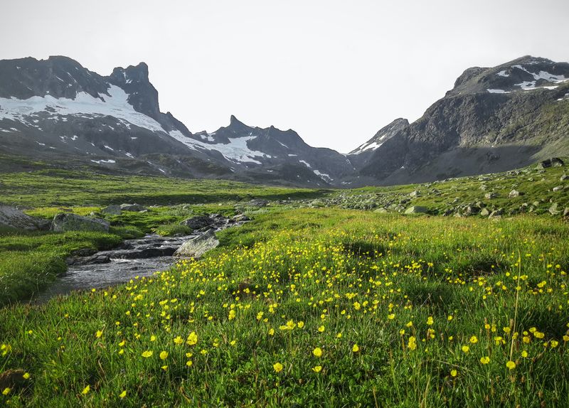 Jotunheimen National Park - Groepsreizen Noorwegen/Zweden