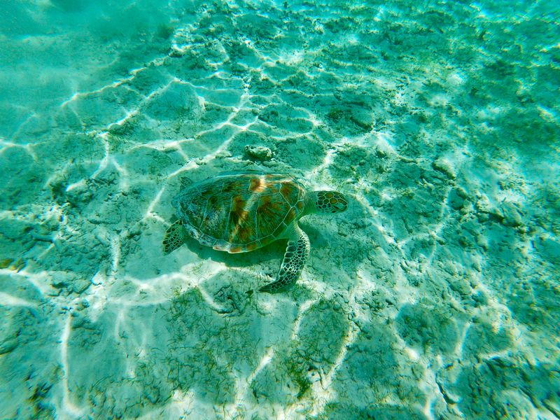 Gili Trawangan, Indonesië