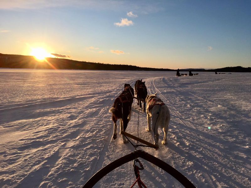 Groepsreizen Lapland winter