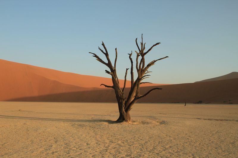 reizen namibie