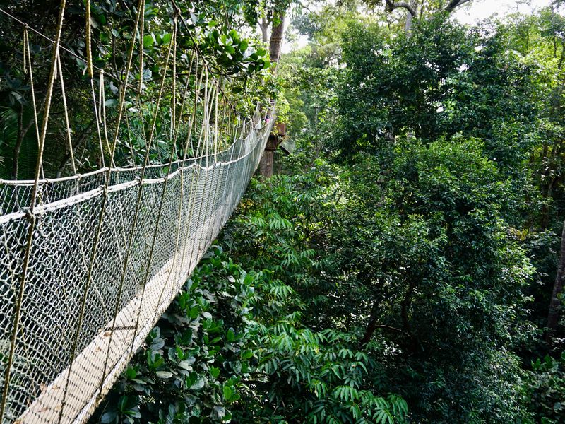 Taman negara