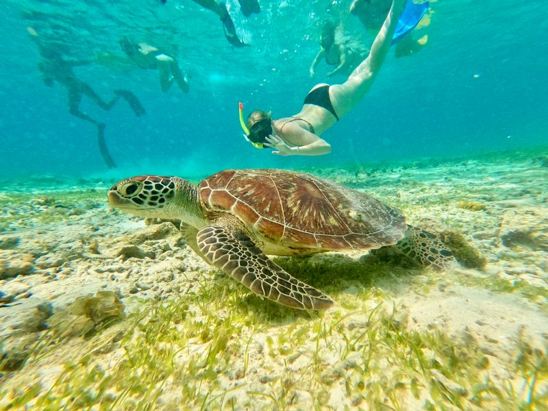Groepsreis Java Bali snorkelen