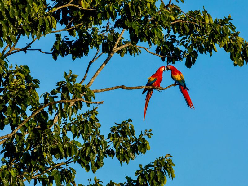 groepsreizen costa rica simi reizen